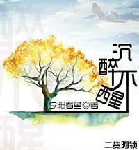 Chénzuì bù xǐng